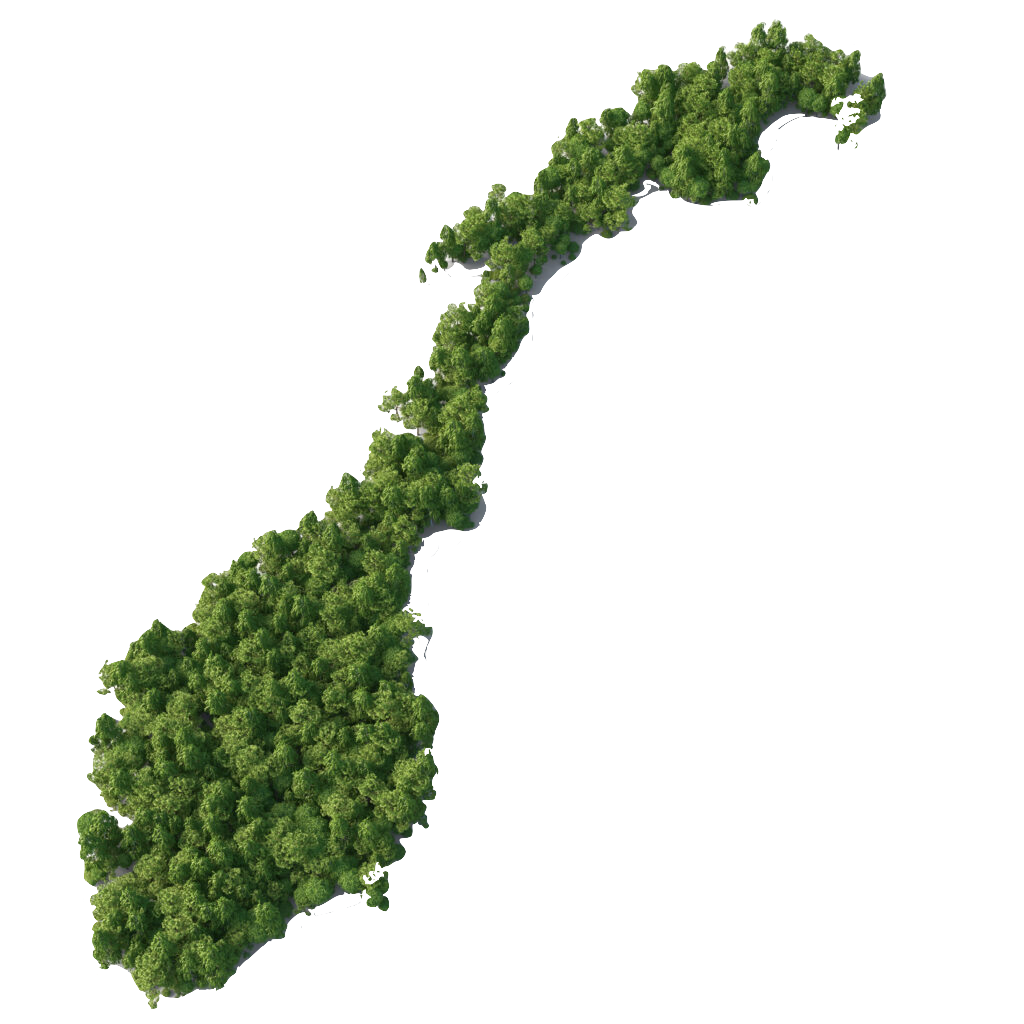 Planting trees in Norway Planting trees in Norway