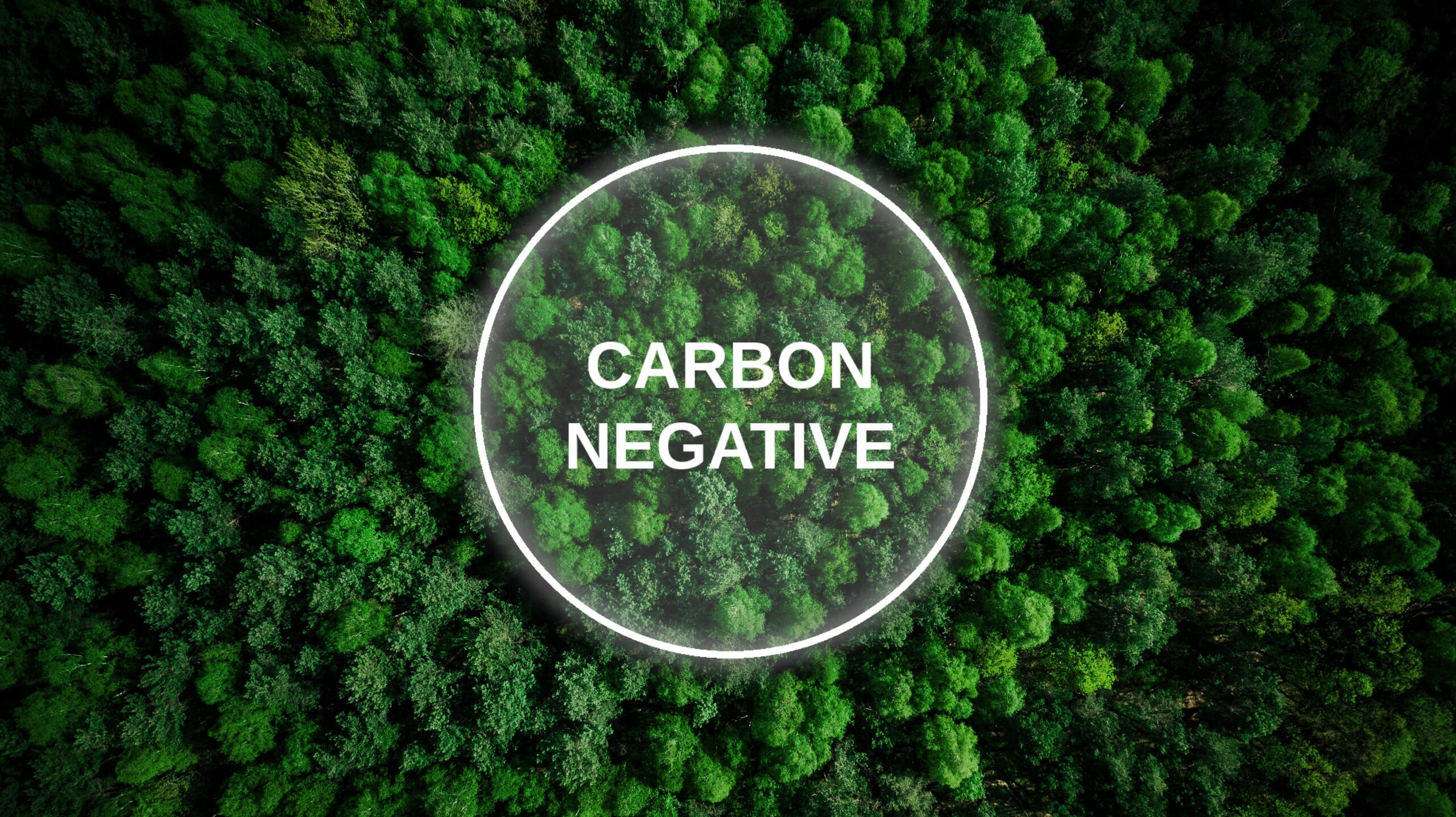 Carbon negative text in bubble overlay on areal forest image